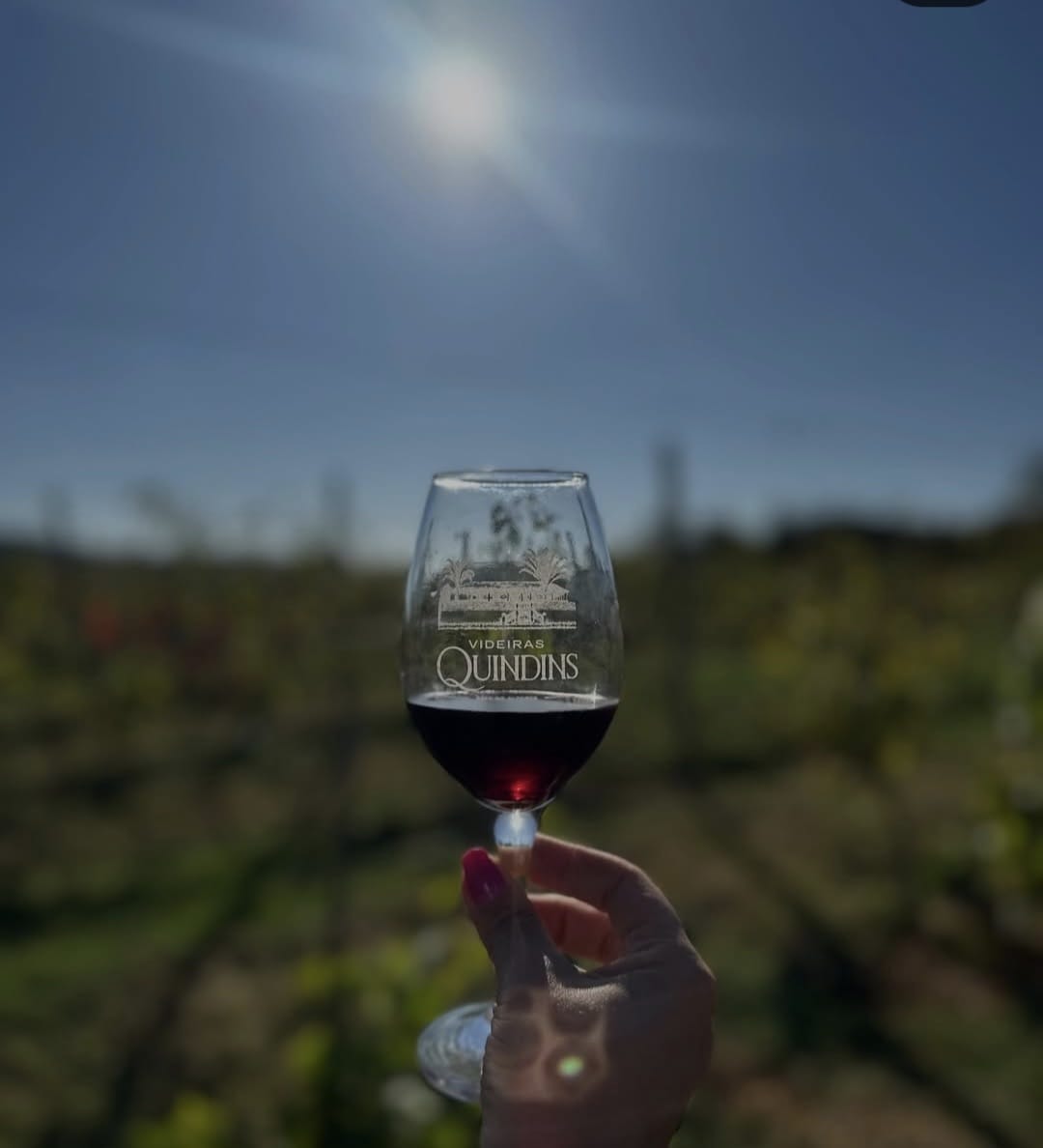 videiras quindins 15