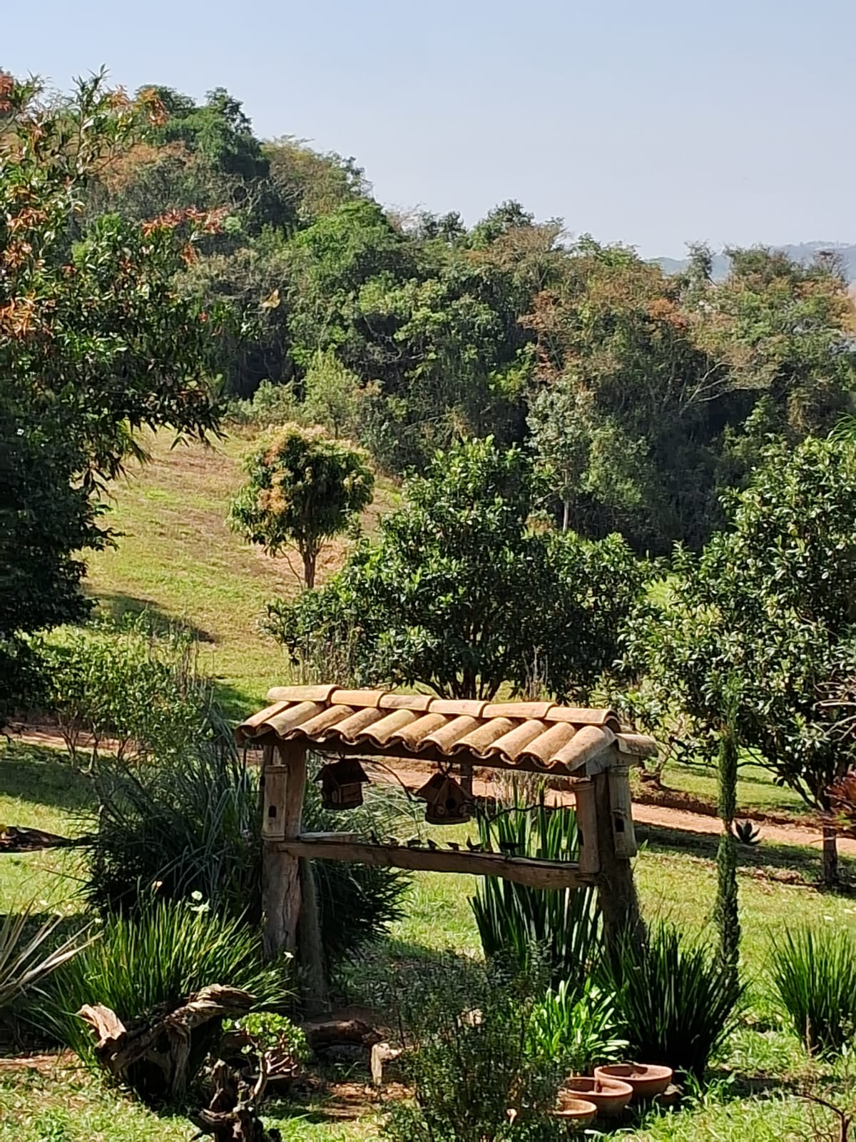 carandaí 3